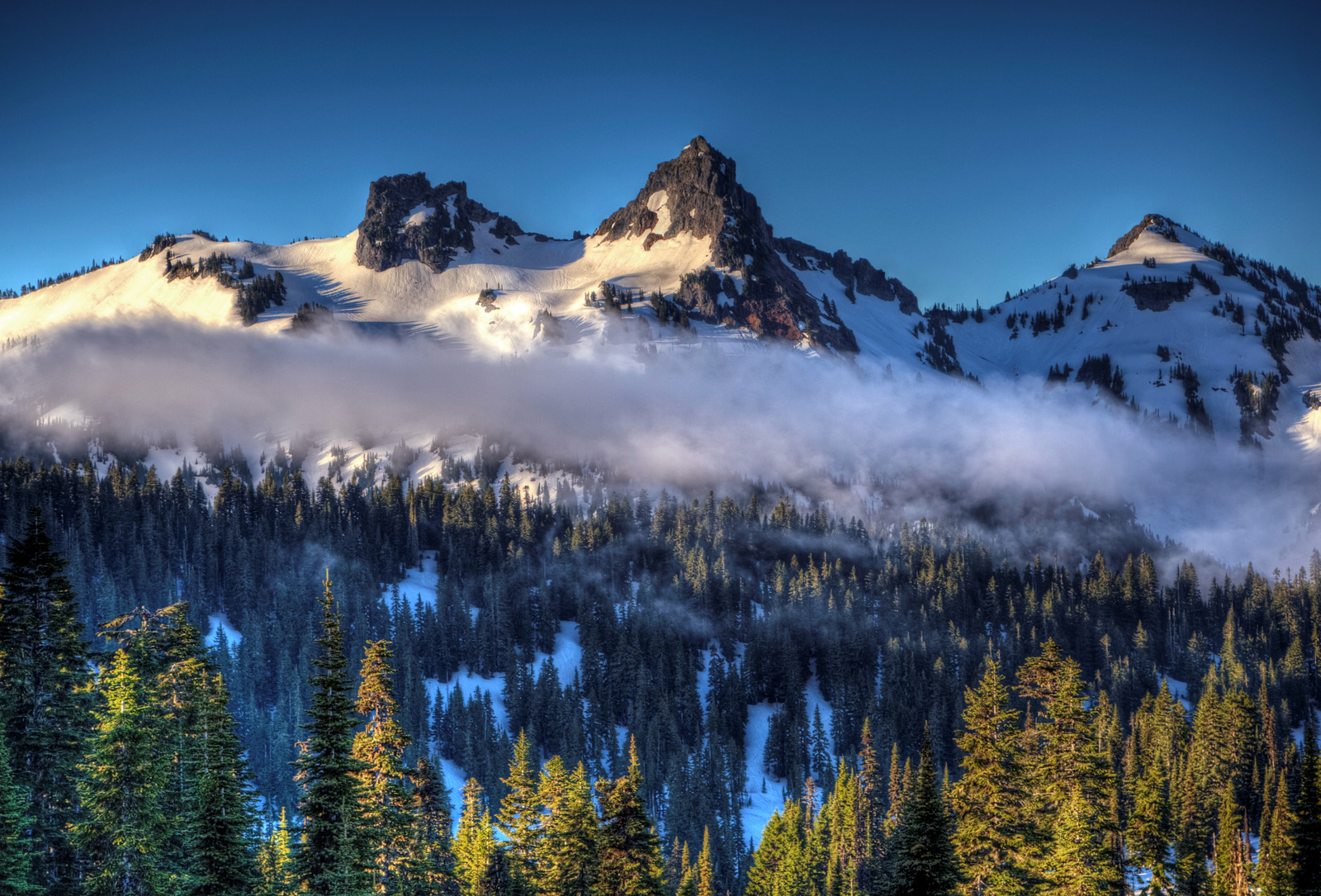Tatoosh range from paradise